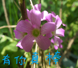 The beauty of the field sticker #14514832