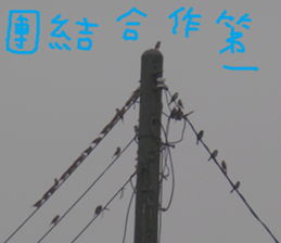 The beauty of the field sticker #14514833