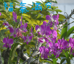 The beauty of the field sticker #14514834