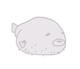 Puffer fish NiNi sticker #14516018