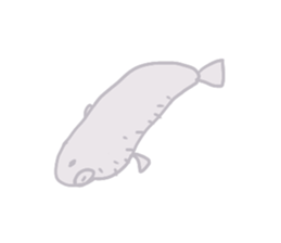 Puffer fish NiNi sticker #14516023