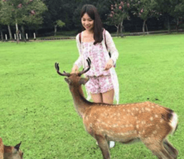 Yo's Life IX sticker #14516096