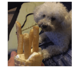 Yo's Life IX sticker #14516101