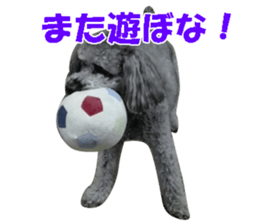 I am a toy poodle's YELL! sticker #14516242