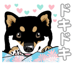 Daily Black Shiba Inu 5 sticker #14517070