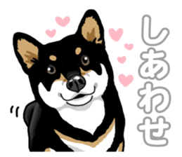 Daily Black Shiba Inu 5 sticker #14517071
