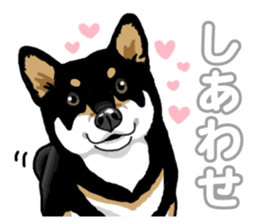 Daily Black Shiba Inu 5 sticker #14517071