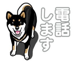 Daily Black Shiba Inu 5 sticker #14517073