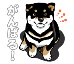 Daily Black Shiba Inu 5 sticker #14517074