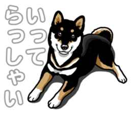 Daily Black Shiba Inu 5 sticker #14517075