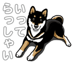 Daily Black Shiba Inu 5 sticker #14517075