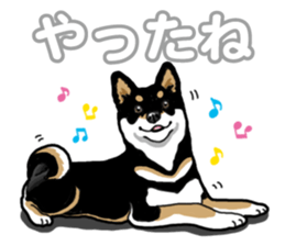 Daily Black Shiba Inu 5 sticker #14517077