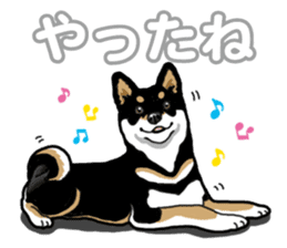 Daily Black Shiba Inu 5 sticker #14517077