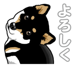 Daily Black Shiba Inu 5 sticker #14517078