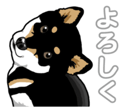 Daily Black Shiba Inu 5 sticker #14517078