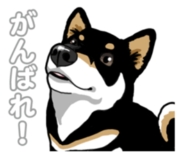Daily Black Shiba Inu 5 sticker #14517079