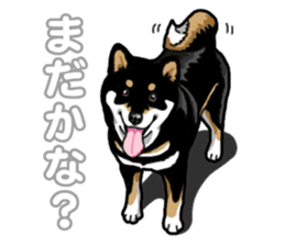 Daily Black Shiba Inu 5 sticker #14517080