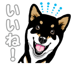 Daily Black Shiba Inu 5 sticker #14517081