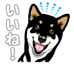 Daily Black Shiba Inu 5 sticker #14517081