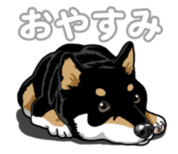 Daily Black Shiba Inu 5 sticker #14517082