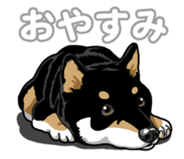 Daily Black Shiba Inu 5 sticker #14517082
