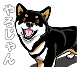 Daily Black Shiba Inu 5 sticker #14517083
