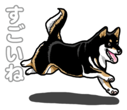 Daily Black Shiba Inu 5 sticker #14517084