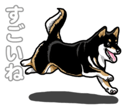 Daily Black Shiba Inu 5 sticker #14517084