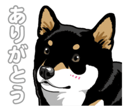 Daily Black Shiba Inu 5 sticker #14517085