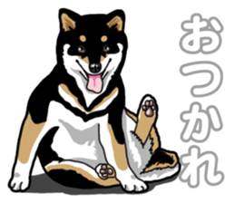 Daily Black Shiba Inu 5 sticker #14517086