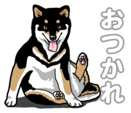 Daily Black Shiba Inu 5 sticker #14517086