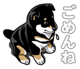 Daily Black Shiba Inu 5 sticker #14517087