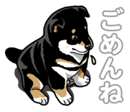 Daily Black Shiba Inu 5 sticker #14517087