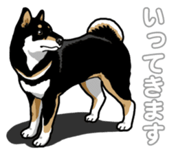 Daily Black Shiba Inu 5 sticker #14517089
