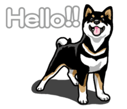 Daily Black Shiba Inu 5 sticker #14517090