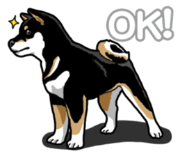 Daily Black Shiba Inu 5 sticker #14517091