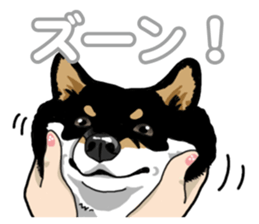 Daily Black Shiba Inu 5 sticker #14517093