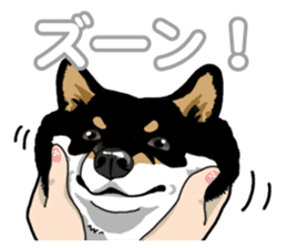 Daily Black Shiba Inu 5 sticker #14517093