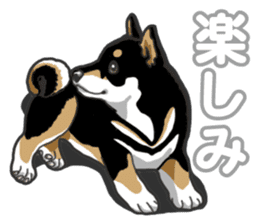 Daily Black Shiba Inu 5 sticker #14517095