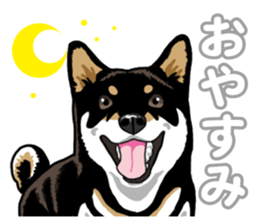 Daily Black Shiba Inu 5 sticker #14517096