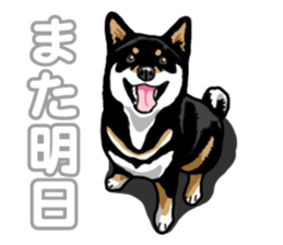 Daily Black Shiba Inu 5 sticker #14517097