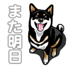 Daily Black Shiba Inu 5 sticker #14517097