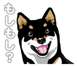 Daily Black Shiba Inu 5 sticker #14517099
