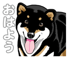 Daily Black Shiba Inu 5 sticker #14517100