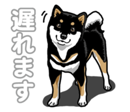 Daily Black Shiba Inu 5 sticker #14517102