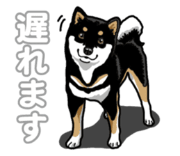 Daily Black Shiba Inu 5 sticker #14517102