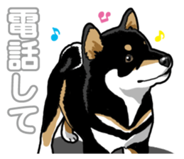 Daily Black Shiba Inu 5 sticker #14517103