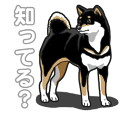 Daily Black Shiba Inu 5 sticker #14517104