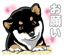Daily Black Shiba Inu 5 sticker #14517105