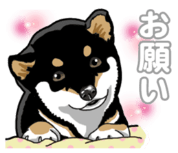 Daily Black Shiba Inu 5 sticker #14517105